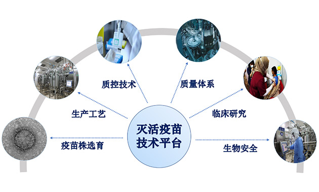 Inactivated vaccine technology platform