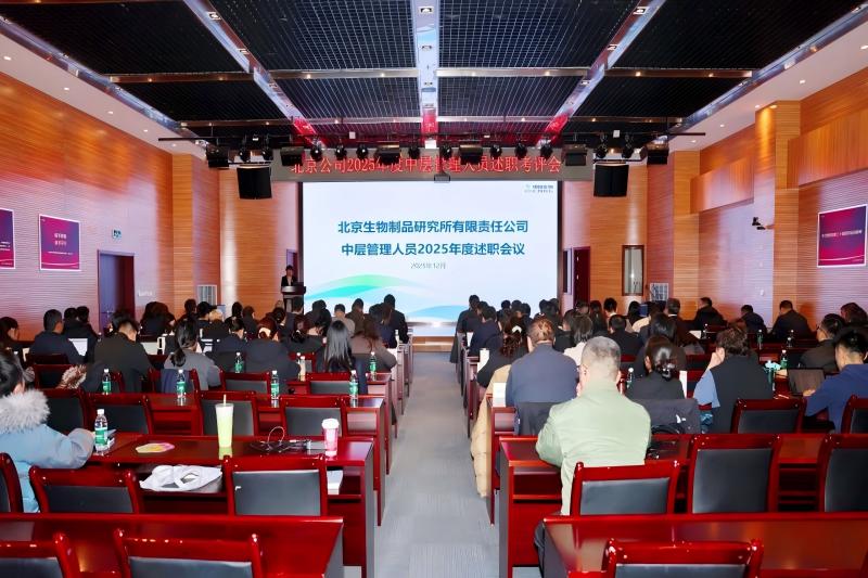 Achievements, Synergy, Responsibilit